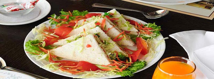 1398/Hotel Pallavi - Panchkula 08.jpg